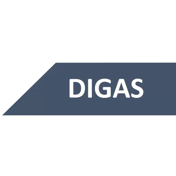 http://digasgroup.com/