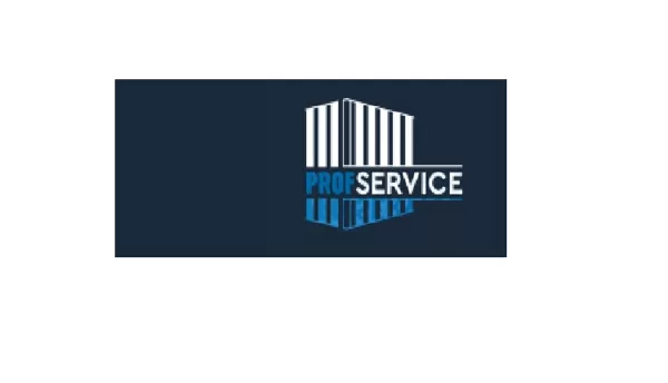 https://www.wwwprofservice.com/